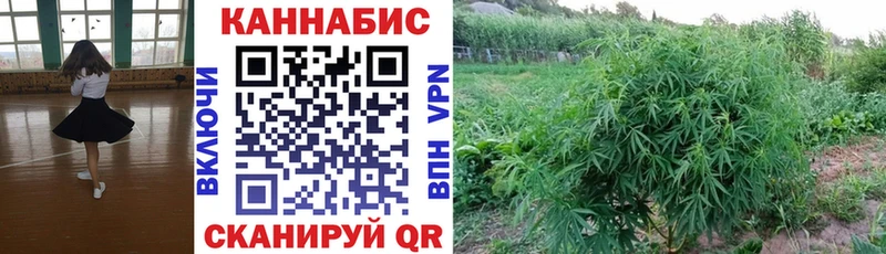 где купить наркоту  Ужур  Бошки Шишки Ganja 